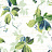 Обои Wallquest English Rose EN11502
