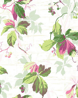 Обои Wallquest English Rose EN11509