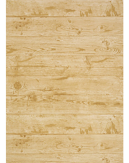 Обои Thibaut Neutral Resource T10070