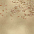 Панно и фотообои Coordonne Random Metallics 9600040