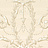 Обои Little Greene Revolution Papers 0284VEDARKP