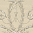 Обои Little Greene Revolution Papers 0284VEGUILD