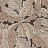 Обои Morris & Co Archive Wallpapers II 212551
