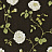 Обои Sanderson Wallpapers from a Painters Garden DAPGRO104
