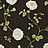 Обои Sanderson Wallpapers from a Painters Garden DAPGRO104
