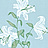Обои Sanderson Wallpapers from a Painters Garden DAPGSE103