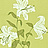 Обои Sanderson Wallpapers from a Painters Garden DAPGSE104