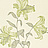 Обои Sanderson Wallpapers from a Painters Garden DAPGSE105