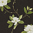 Обои Sanderson Parchment Flowers DPFWSW103