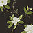 Обои Sanderson Parchment Flowers DPFWSW103