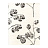 Обои Sanderson Parchment Flowers DPFWHO101