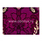 Обои Designers Guild Arabella P501/05