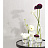 Обои Chivasso Botanica CH9084-070