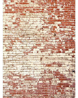 Панно и фотообои Caselio Pimp My Wall PMW103438204
