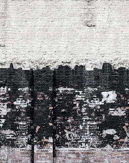 Панно и фотообои Rebel Walls No 7 Curious R14281