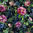Ткань Designers Guild Tapestry Flower FDG3058/01