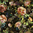 Ткань Designers Guild Tapestry Flower FDG3058/02