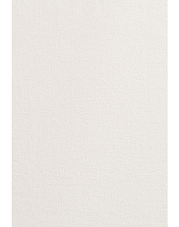 Ткань Dedar Wide Wool Sable T17061/004