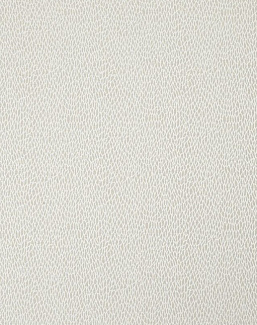 Ткань Ashley Wilde Essential Weaves Vol. 2 Roxton/Champagne