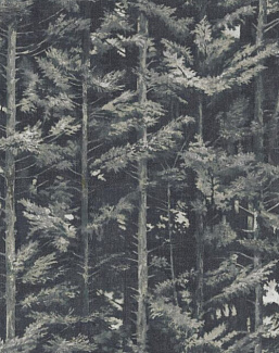 Ткань KAI Heathland Balsham/Ink