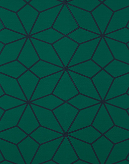 Ткань Harlequin Momentum 10 132777