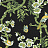 Ткань Thibaut Eden F920845
