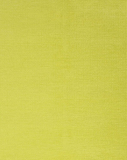 Ткань Designers Guild Torgiano F1947/15