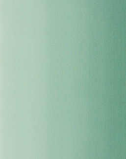 Ткань Designers Guild Padua F1987/04