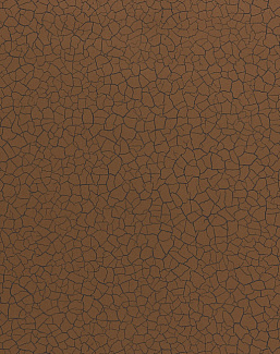Обои Zoffany Akaishi 312530