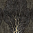 Обои Factura Collection 2021 FORESTA/10