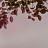 Обои Glamora Creative Wallcovering GLIX21A