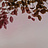 Обои Glamora Creative Wallcovering GLIX21A