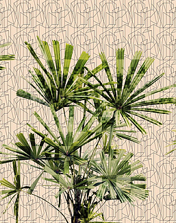 Обои Glamora Creative Wallcovering GLGE121A