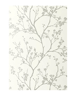 Обои Schumacher Modern Nature 5003340