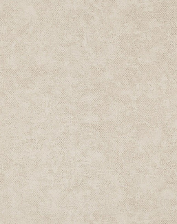 Обои Chivasso Ghost CA8211/060