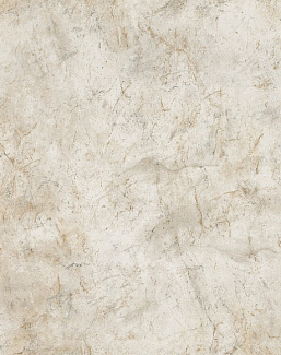 Обои Chivasso Ghost CA8201/070