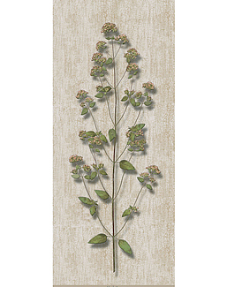 Панно и фотообои Iksel Scenic & Architectural Wallpapers Herbier Herb3