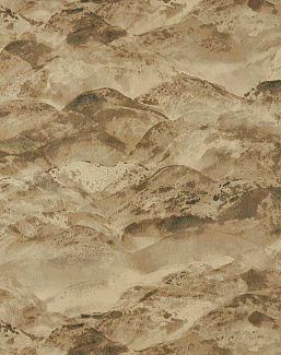 Обои Zoffany Akaishi 312502