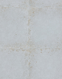 Обои Zoffany Akaishi 312542