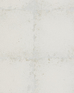 Обои Zoffany Akaishi 312543