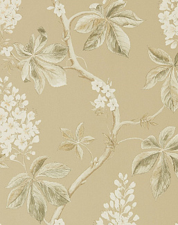 Обои Sanderson Woodland Walk 215711