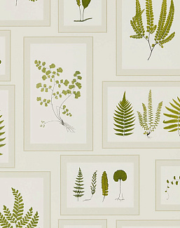 Обои Sanderson Woodland Walk 215712