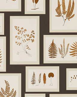 Обои Sanderson Woodland Walk 215713