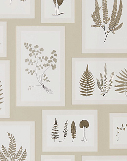 Обои Sanderson Woodland Walk 215714