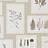 Обои Sanderson Woodland Walk 215714