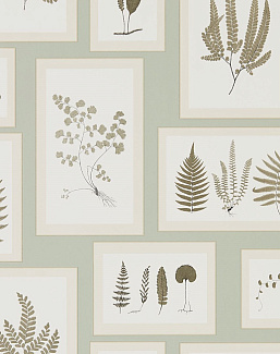 Обои Sanderson Woodland Walk 215715