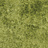 Ткань Osborne & Little Hespera Velvets F6832/02