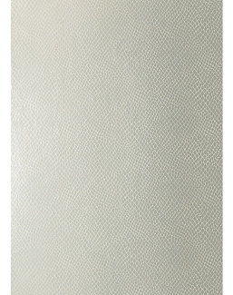 Обои Thibaut Greenwood T85067