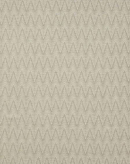 Ткань Colefax and Fowler Brett Weaves F4643/05