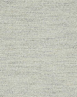 Ткань Colefax and Fowler Brett Weaves F4633/06